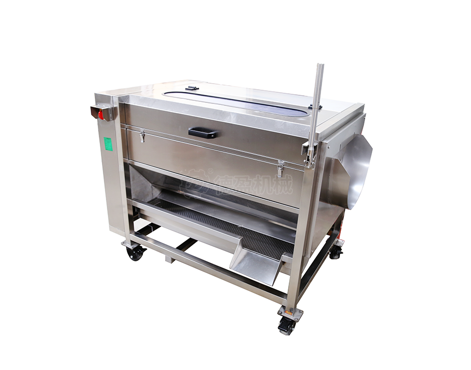 生姜、莲藕去皮机DY-M80-Y